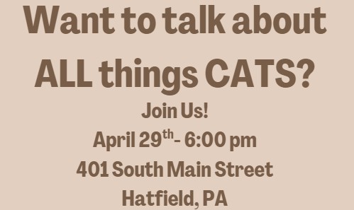 Cat Conversation Meeting