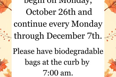 Leaf Pick-Up!
