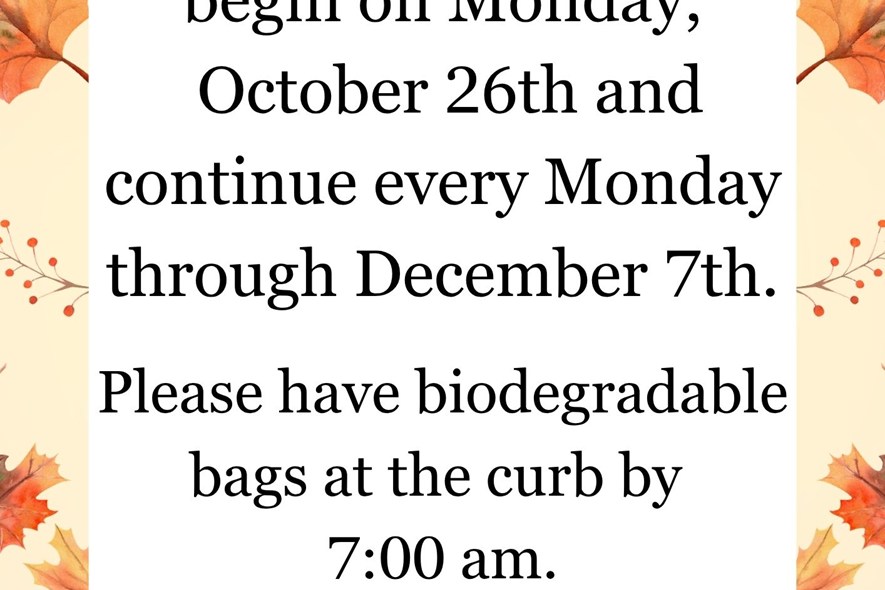 Leaf Pick-Up!